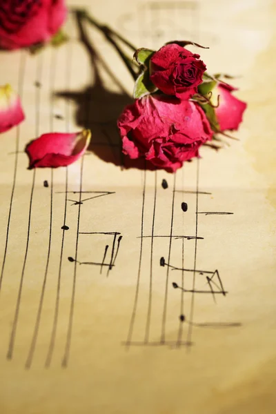 Mooie roze gedroogde rozen op oud papier met notities — Stockfoto
