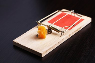 Mousetrap with cheese on wooden background clipart