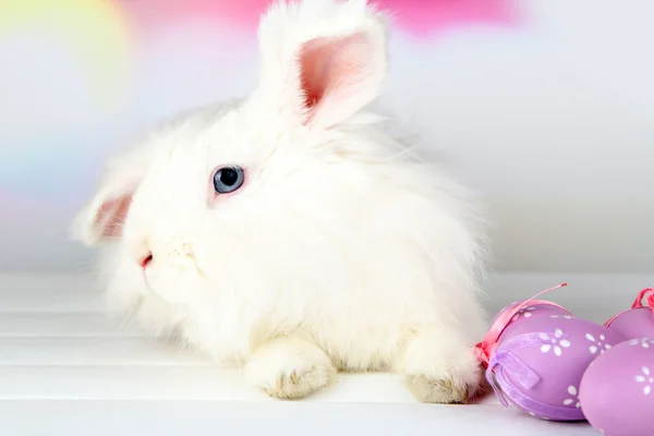 Witte schattig konijn en paaseieren — Stockfoto