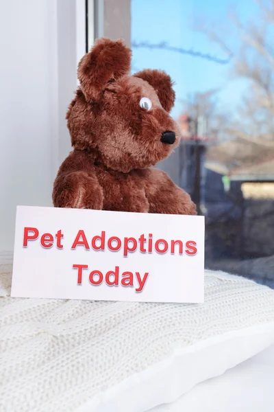 Toy-bear looking out window close-up — Stock Photo, Image