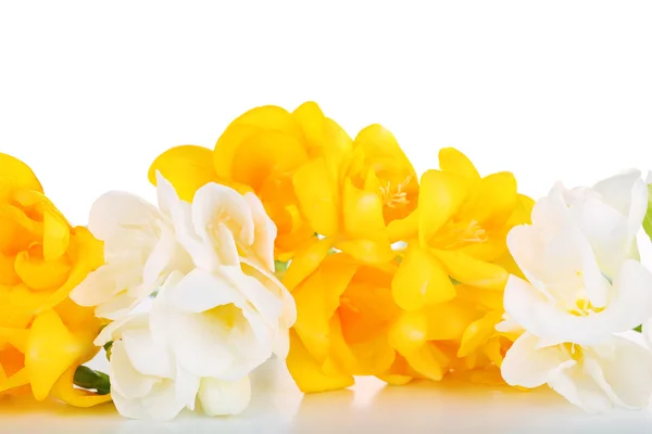 Hermosas flores de freesia, aisladas en blanco —  Fotos de Stock