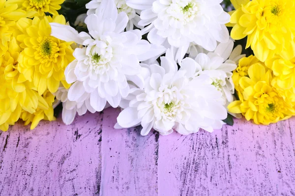 Belles fleurs de chrysanthème sur table en bois close-up — Photo