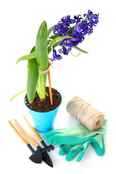 Composizione con attrezzatura da giardino e fiori in secchio metallico isolato su bianco — Foto Stock