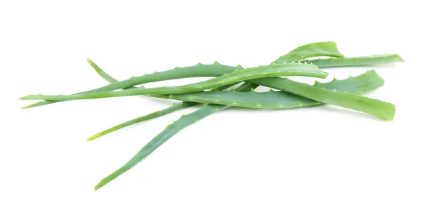 Verse groene Aloë bladeren, geïsoleerd op wit — Stockfoto