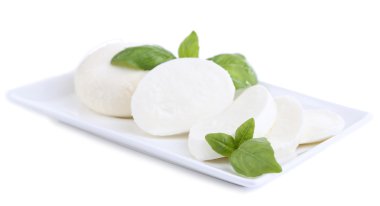 lezzetli mozzarella peyniri Fesleğenli plaka üzerinde beyaz izole
