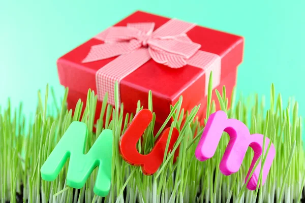 Geschenkbox für Mama auf Gras auf farbigem Hintergrund — Stockfoto