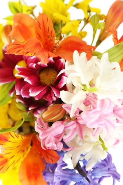 Schöne Blumen aus nächster Nähe — Stockfoto