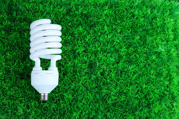 Энергосберегающая лампочка на зеленом фоне травы
