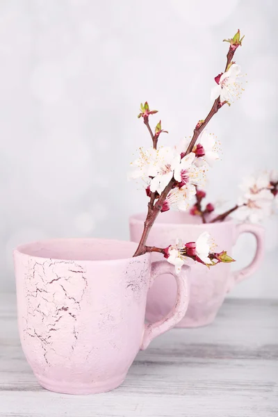 Vackra aprikos blomma i cup på ljus bakgrund — Stockfoto