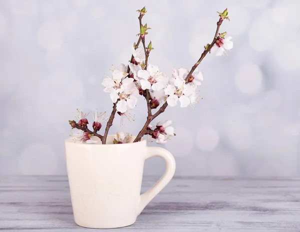 Hermosa flor de albaricoque en taza sobre fondo claro — Foto de Stock