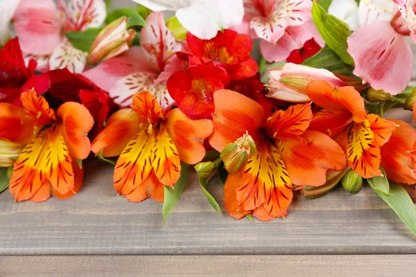 Beautiful Alstroemeria flowers on wooden table — Stock Photo, Image