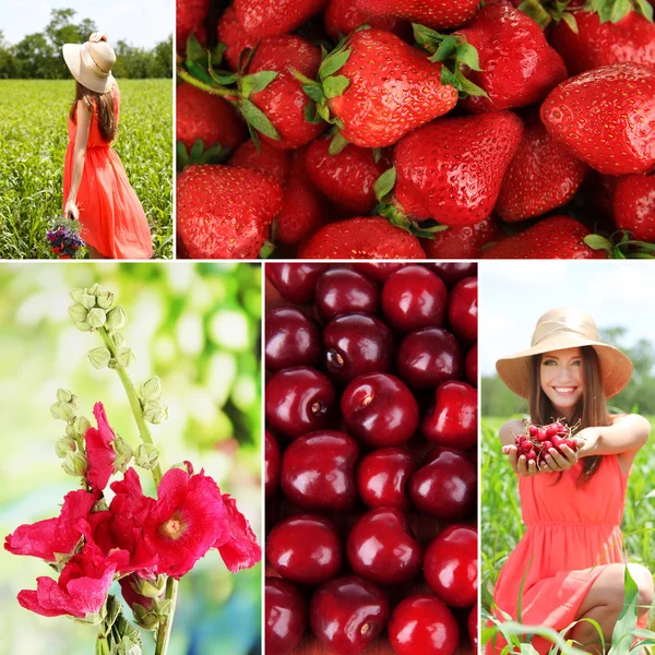 Sommertidens collage - Stock-foto