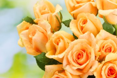 güzel yeşil zemin üzerine gül buketi