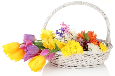 hasır sepet, güzel çiçekler üzerinde beyaz izole