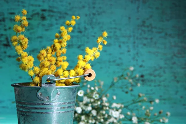 Twijgen van mimosa bloemen in emmer op blauwe houten achtergrond — Stockfoto