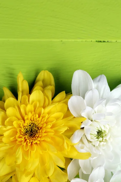 Mooie chrysant bloemen op houten tafel close-up — Stockfoto