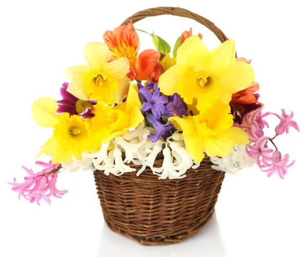 Beautiful flowers in wicker basket, isolated on white — Stock Photo, Image