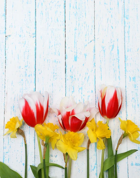 Bellissimi fiori su sfondo di legno a colori — Foto Stock