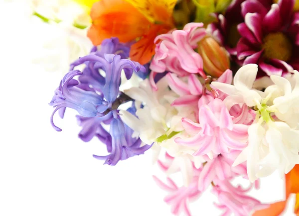 Bellissimi fiori isolati su bianco — Foto Stock