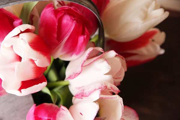 Beautiful tulips in watering can on wooden background — Stock Photo, Image