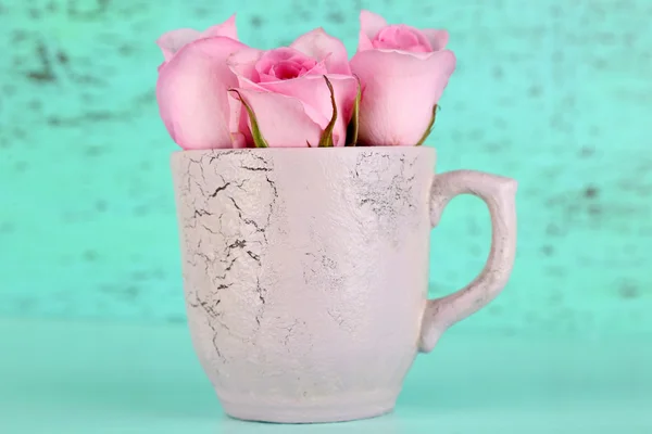 Beautiful roses in cup on blue background — Stock Photo, Image