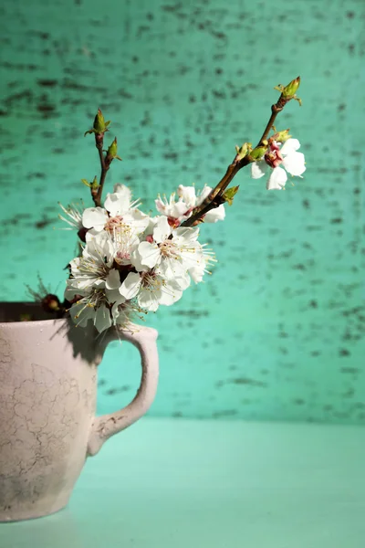 Beautiful apricot blossom in cup on old wooden background — Stock Photo, Image