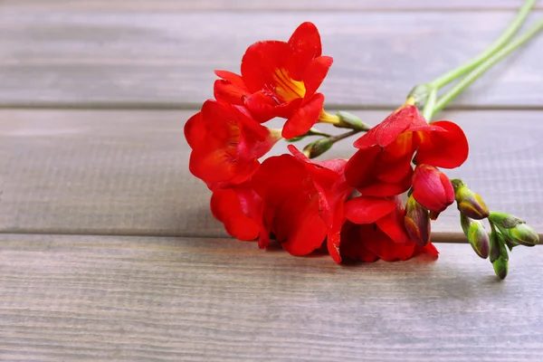 Hermosas flores de freesia, sobre mesa de madera —  Fotos de Stock