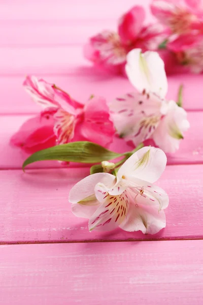 Vackra alstroemeria blommor på träbord — Stockfoto