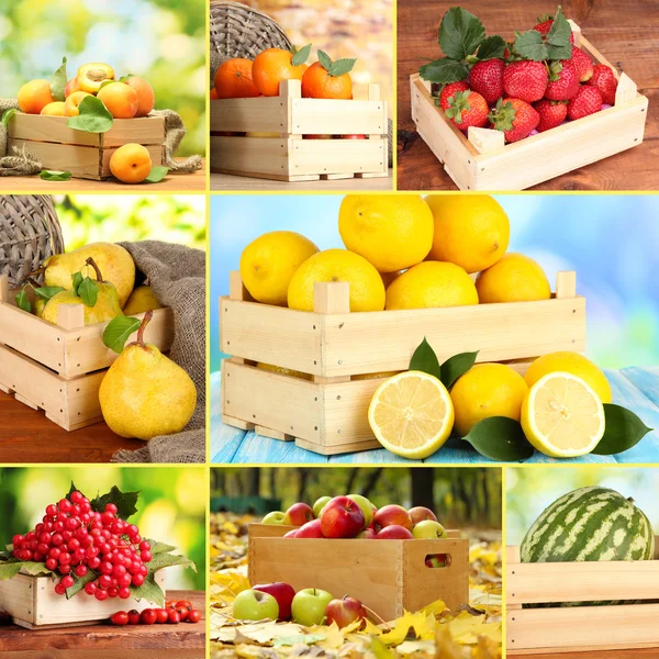 Collage of berries and fruits in wooden boxes