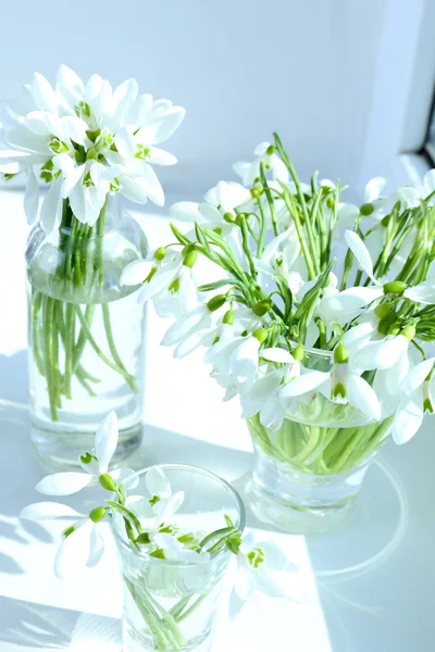 Vackra Buketter av snödroppar i vaser på fönsterbräda — Stockfoto
