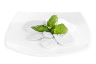 lezzetli mozzarella peyniri Fesleğenli plaka üzerinde beyaz izole