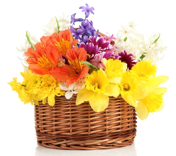 Beautiful flowers in wicker basket, isolated on white — Stock Photo, Image