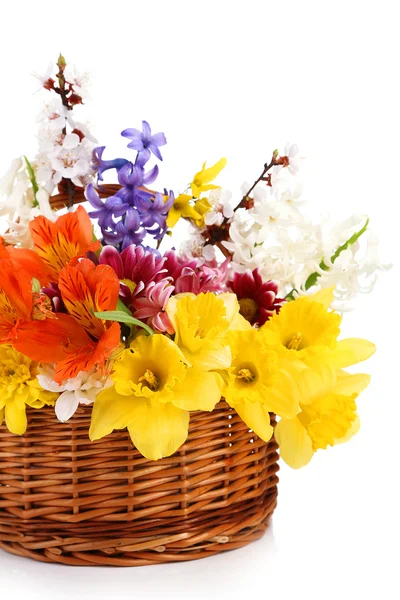 Beautiful flowers in wicker basket, isolated on white — Stock Photo, Image
