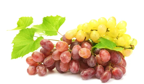 Спелый сладкий виноград на белом — стоковое фото