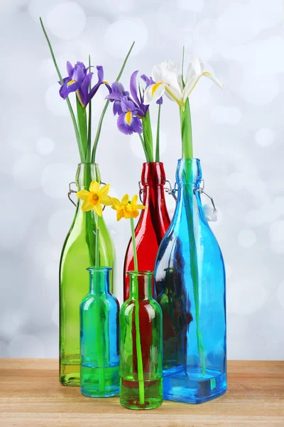 Hermosos iris y narcisos en botellas, sobre fondo claro —  Fotos de Stock