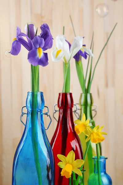 Beautiful irises and daffodils in bottles, on wooden background — Stock Photo, Image