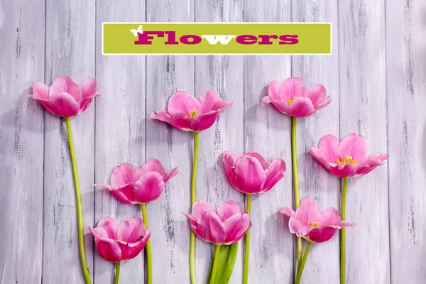 Beautiful flowers on color wooden background — Stock Photo, Image