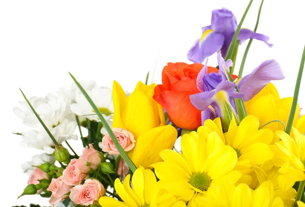 Schöne Blumen aus nächster Nähe — Stockfoto