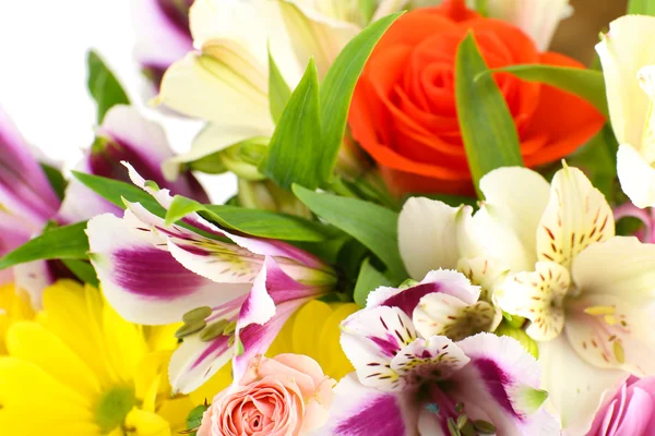 Beautiful flowers close up — Stock Photo, Image