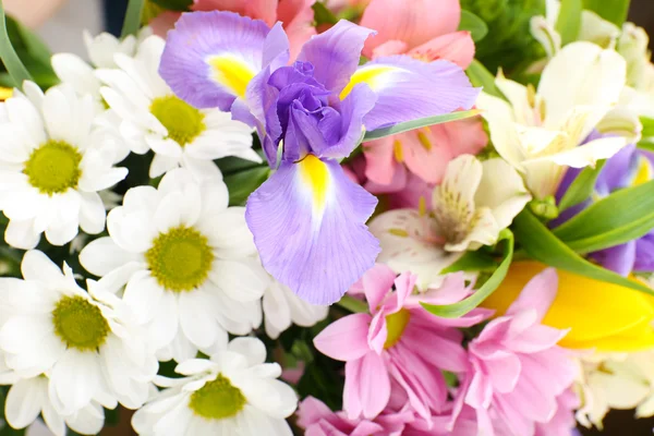 Hermosas flores de cerca —  Fotos de Stock