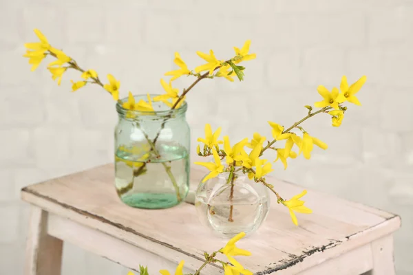 Beautiful Forsythia blossom in transparent jars on grey wall background — Stock Photo, Image