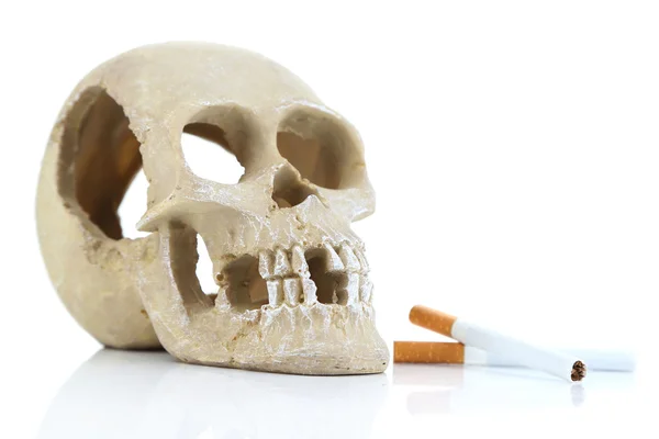 Cráneo con cigarrillo aislado en blanco —  Fotos de Stock