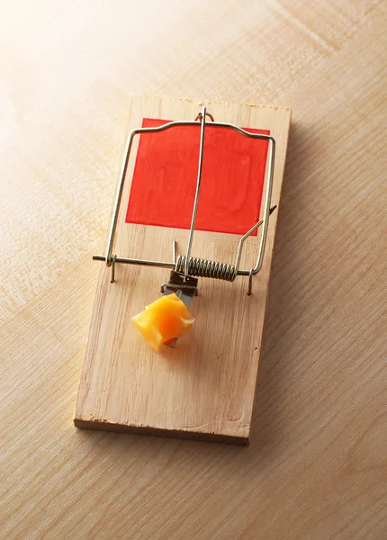 Past na myši se sýrem na dřevěném pozadí — Stock fotografie