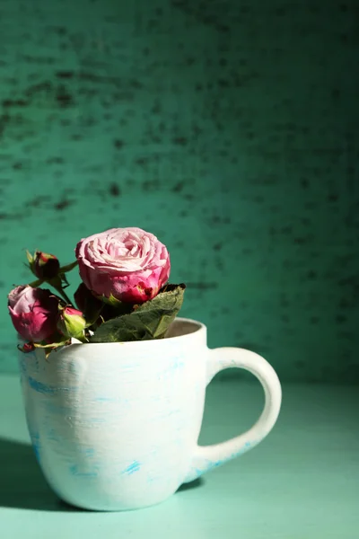 Vackra rosor i cup på grön bakgrund — Stockfoto