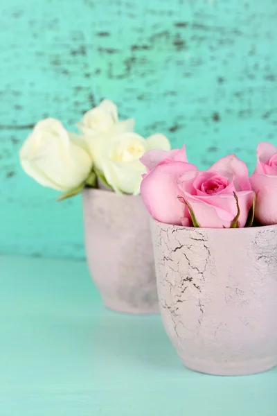 Schöne Rosen in Tassen auf blauem Hintergrund — Stockfoto