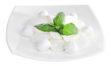 lezzetli mozzarella peyniri Fesleğenli plaka üzerinde beyaz izole