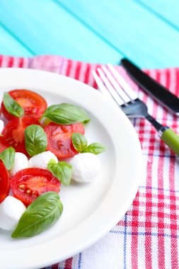 mozarella peyniri, domates ve fesleğen ahşap masa arka plaka Caprese salatası