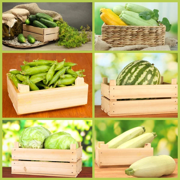 Collage av grönsaker i trälådor — Stockfoto