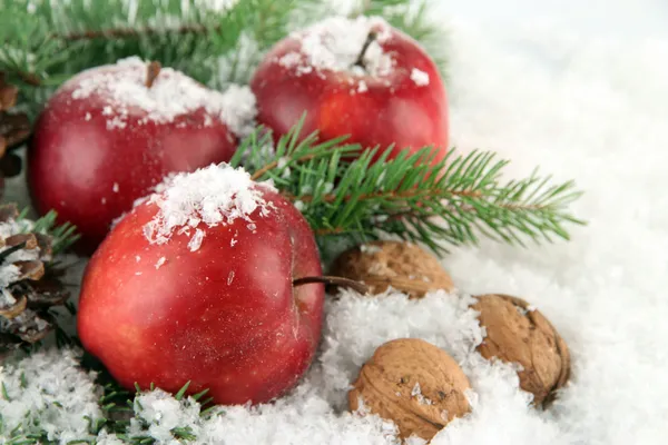 Pommes rouges avec branches de sapin et noix dans la neige close up — Photo