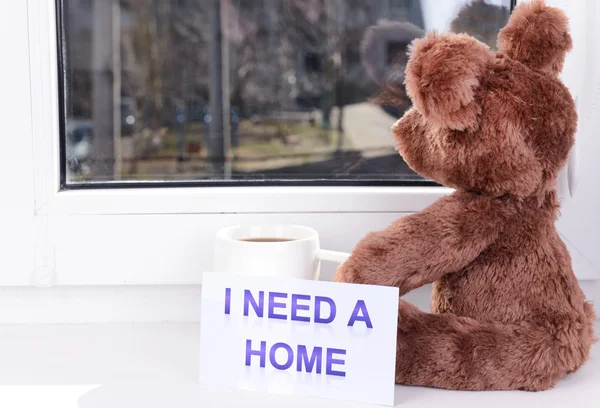 Toy-bear looking out window close-up — Stock Photo, Image